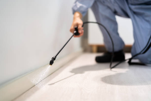 Licensed Wasp Control service in Tahlequah, OK - Nex Pest Control