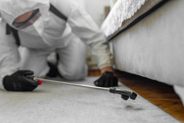 Professional Wasp Control technician working in Tahlequah, OK