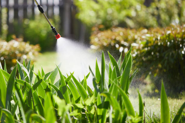 24/7 Emergency Cockroach Control experts in Tahlequah, OK