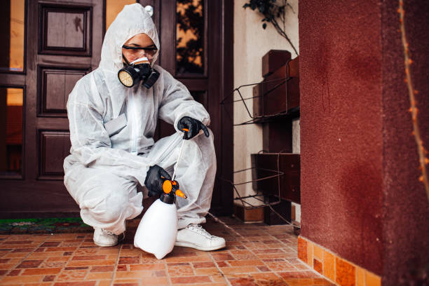 Reliable Cockroach Control contractor in Tahlequah, OK by Nex Pest Control