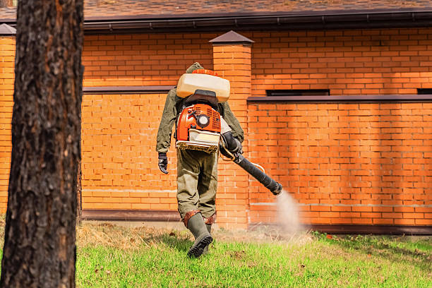 Trusted Rodent Control service in Tahlequah, OK - Nex Pest Control